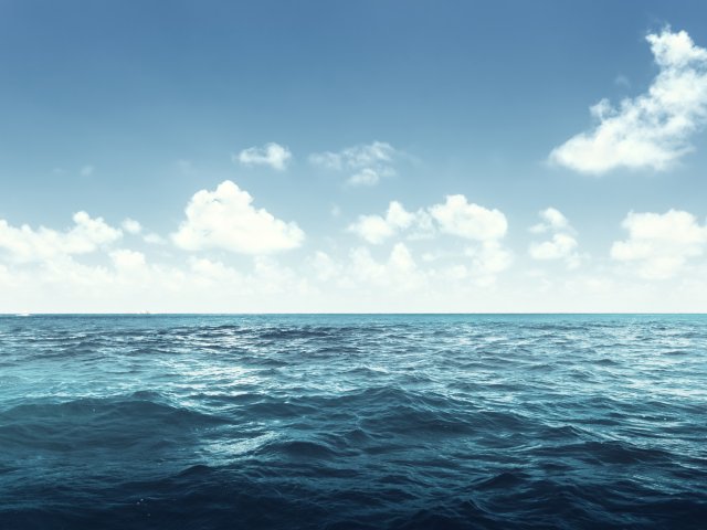 Источник фото: ru.123rf.com