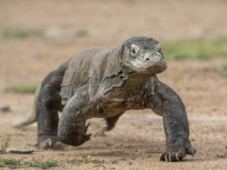 Фото: surz / ru.123rf.com