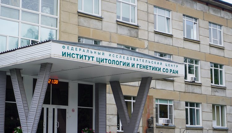 Фото: Янина Хужина / «Научная Россия» архив