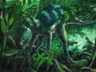 Палеохудожественная реконструкция Foskeia pelendonum. Фото: Martina Charnell / Vrije Universiteit Brussel