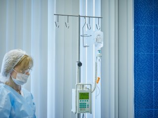 Фото: Елена Либрик / Научная Россия