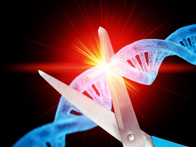 Источник ru.123rf.com