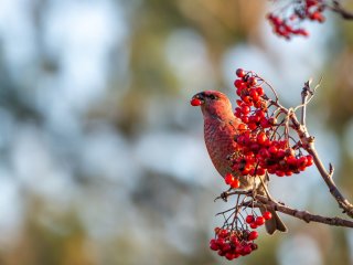 Изображение: Фотобанк Freepik