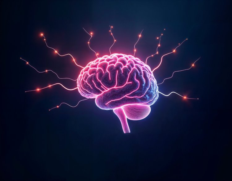 ������&nbsp; ��� ������������ ����� ������ ������������ ���������� �����