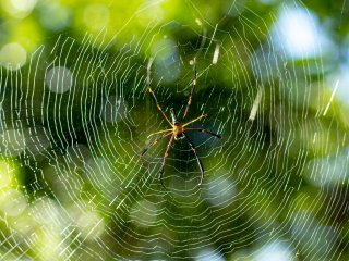 Источник фото: ru.123rf.com