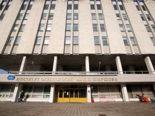 Фото Ольги Мерзляковой
