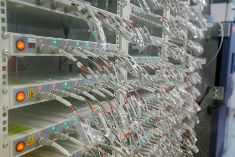 Электрохимические тестеры для измерения параметров ячеек монеточного типа.Фото: Ольга Мерзлякова / «Научная Россия»