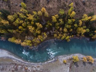 Фото © Кирилл Кухмарь/ ТАСС