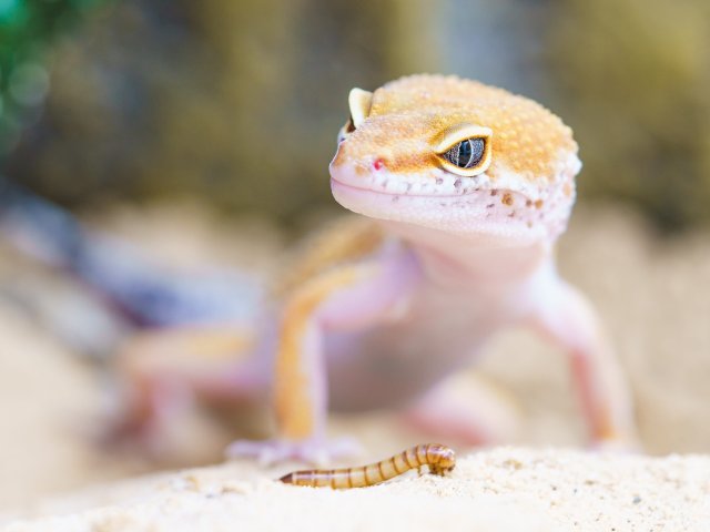 Источник фото: ru.123rf.com