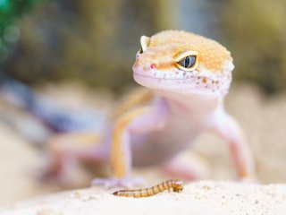 Источник фото: ru.123rf.com