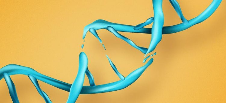 Разрывы ДНК. Дизайнер Елена Хавина