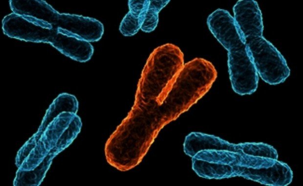 Секвенирование Y-хромосомы подтверждает народные сказания