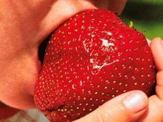 Как вырастить фрукты-гиганты