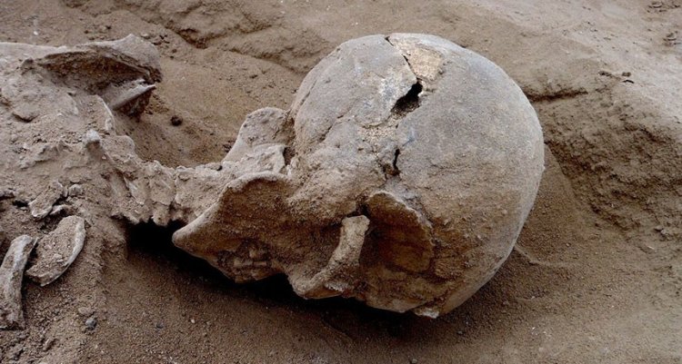 Самое древнее побоище: 10000 лет назад