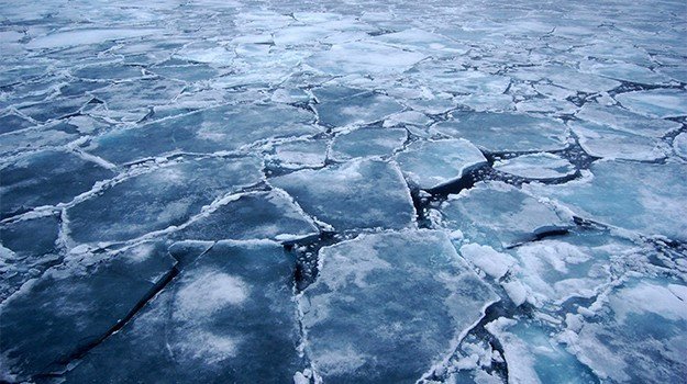 Почему воды Антарктики почти не нагрелись в результате потепления климата