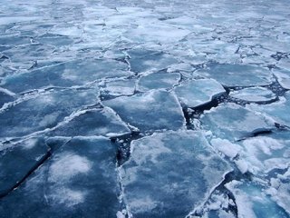 Почему воды Антарктики почти не нагрелись в результате потепления климата
