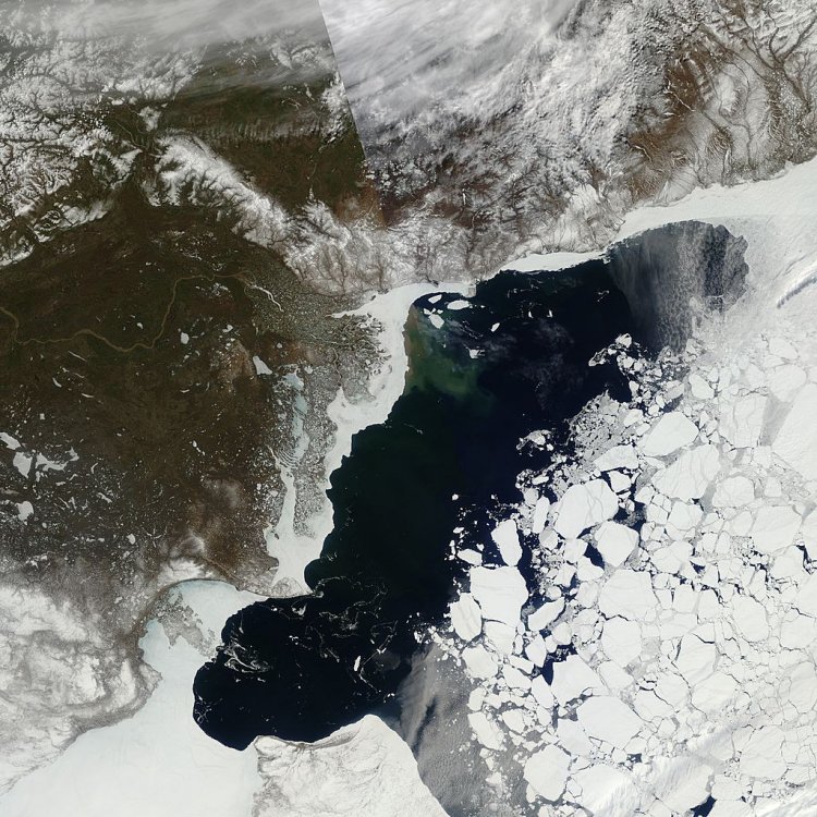 Сокращение площади морского льда в Арктике продолжается