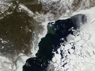 Сокращение площади морского льда в Арктике продолжается