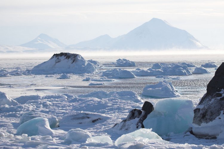 Арктический форум «Арктика – территория диалога»