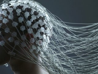 Ученые СГТУ выяснили, что происходит в мозгу во время восприятия информации