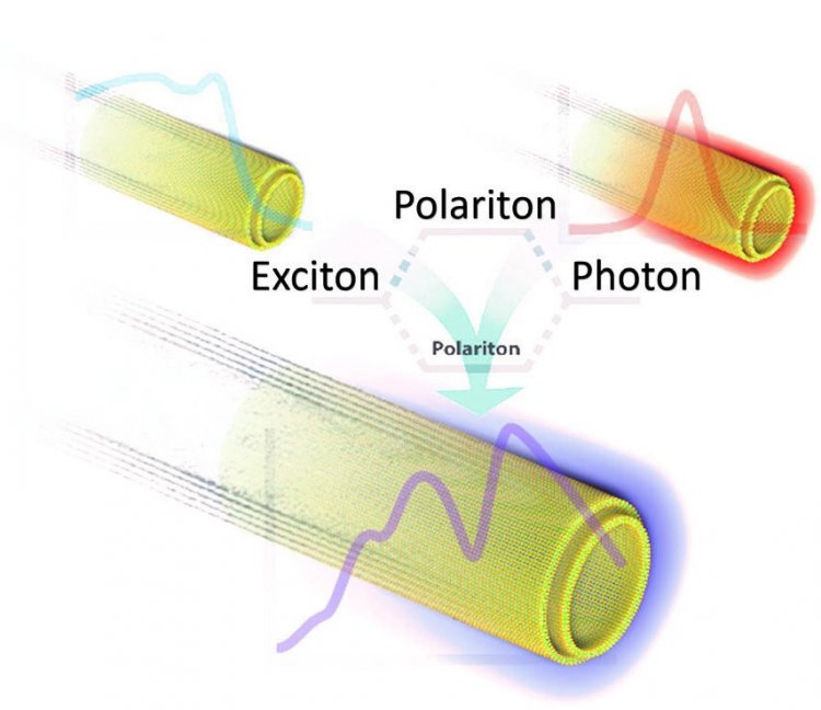 Особенности оптических свойств дисульфидных нанотрубок./Lena Yadgarov, Bojana Višić et al. Strong light–matter interaction in tungsten disulfide nanotubes Phys. Chem. Chem. Phys., 2018,20, 20812-20820