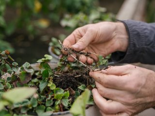 Фото: Александра Федосеева