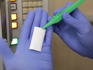 Ученые ТПУ создали технологию нанесения белков на имплантаты из полимера молочной кислоты
