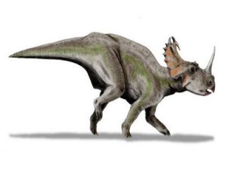 Палеонтологи нашли много странных микробов в костях динозавра