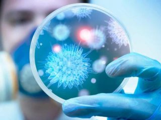 Ученые РФ и их зарубежные коллеги выяснили, как возникают хронические вирусные инфекции
