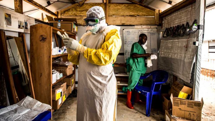 Два из четырех методов лечения Эболы оказались очень эффективными в клинических испытаниях
