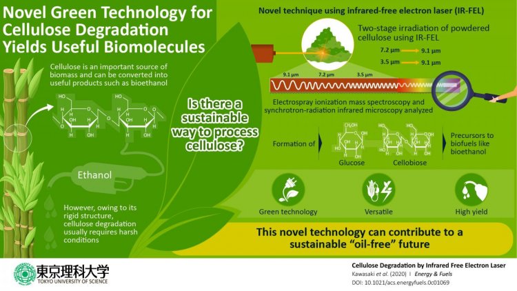На пути к «зеленому» будущему: эффективная лазерная техника может преобразовать целлюлозу в биотопливо
