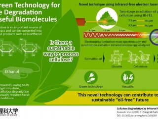 На пути к «зеленому» будущему: эффективная лазерная техника может преобразовать целлюлозу в биотопливо