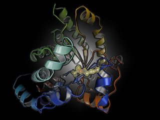 Открыт фундаментальный механизм регуляции белков