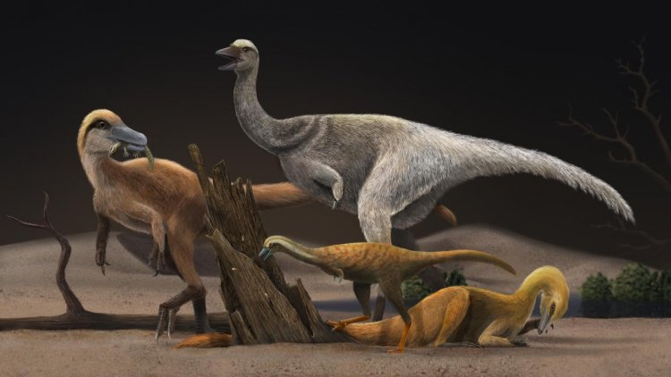 Некоторые динозавры стали есть термитов – и резко уменьшились