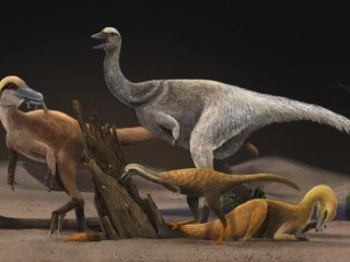 Некоторые динозавры стали есть термитов – и резко уменьшились