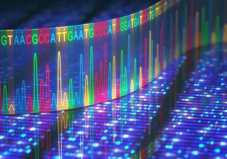Ученые полностью расшифровали геном человека