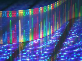 Ученые полностью расшифровали геном человека