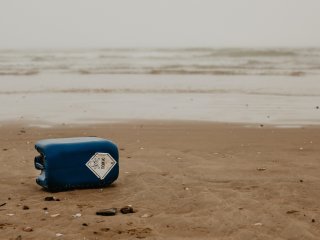 Проявление токсичности. Источник: Beth Jnr / Фотобанк Unsplash