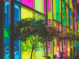 «Робоглаз» поможет узнать цвет. Источник: Felix Dubois-Robert / Фотобанк Unsplash 
