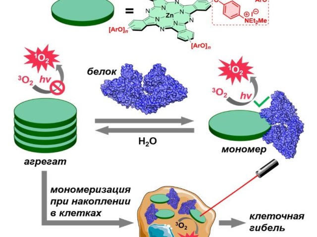 Общая структурная формула полученных молекул и механизм их фотодинамического действия. Источник Александр Мартынов