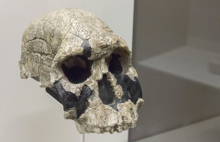 Фото: james63 / 123RF