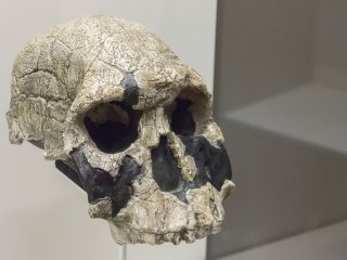 Фото: james63 / 123RF