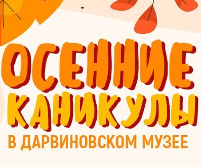 осенние школьные каникулы в музее
