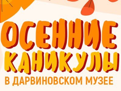 осенние школьные каникулы в музее