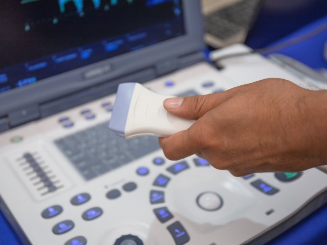 Фото: dedmityay / 123RF