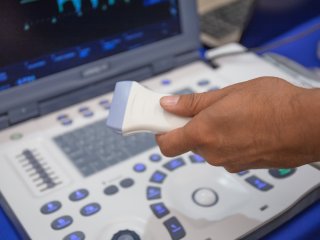 Фото: dedmityay / 123RF