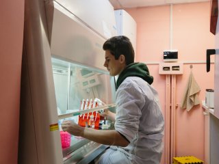 Инженер лаборатории физико-химии биомембран Михаил Шлыков работает с культурой макрофагов. Фото: Ольга Мерзлякова / «Научная Россия»