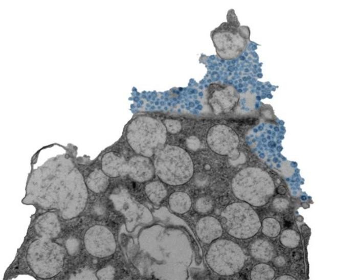 ���&nbsp; ������ � ���� �������� ��� �� ��������?