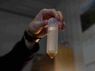 Образцы взятых проб. Фото Анастасии Тамаровской / ФИЦ КНЦ СО РАН