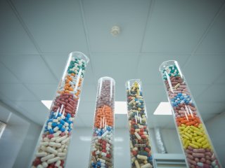 В ФИЦ питания и биотехнологии. Фото: Елена Либрик / «Научная Россия»